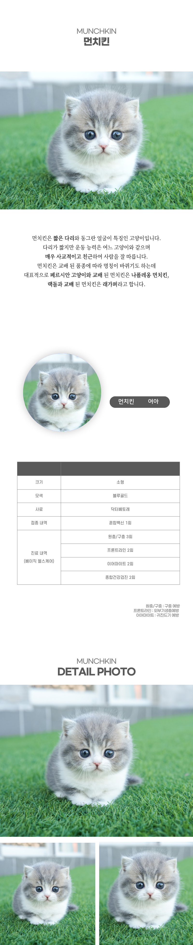 먼치킨_상세이미지_2